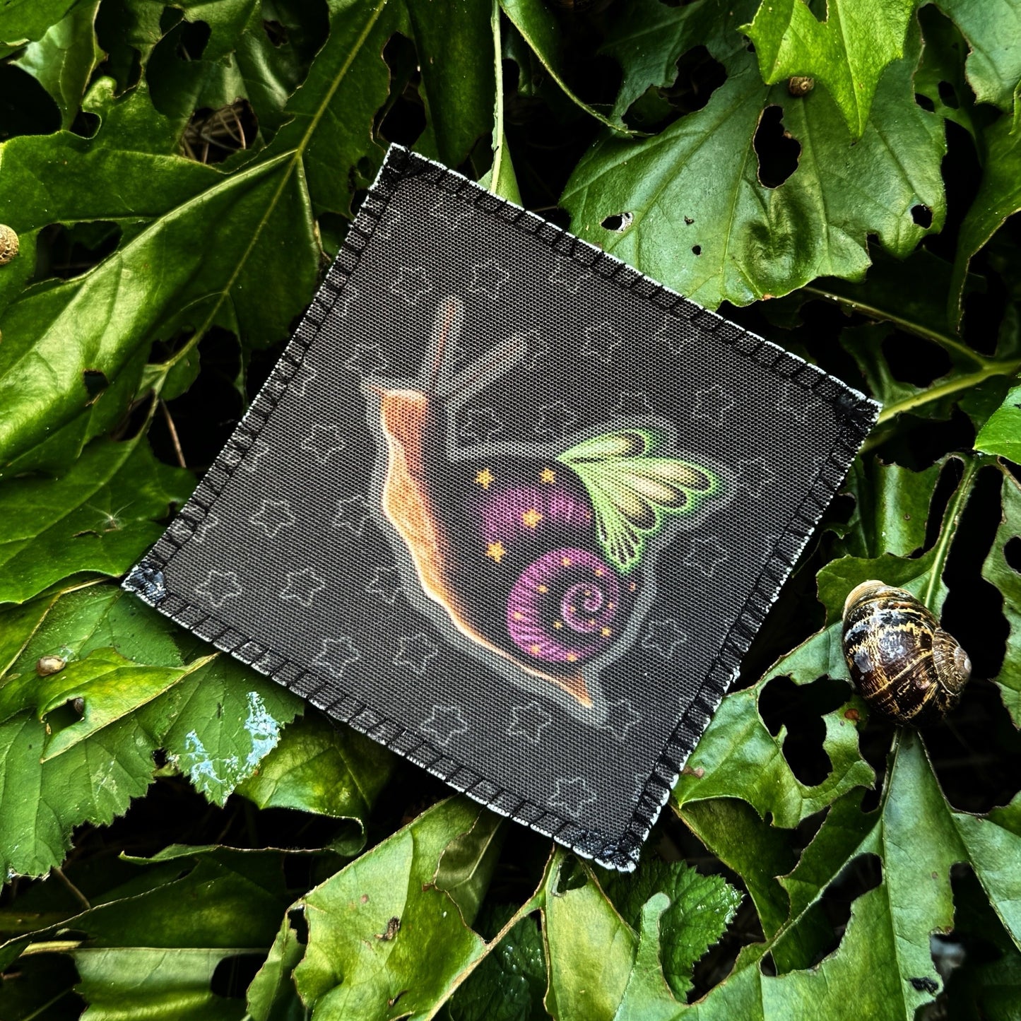 Snail Fae Patches