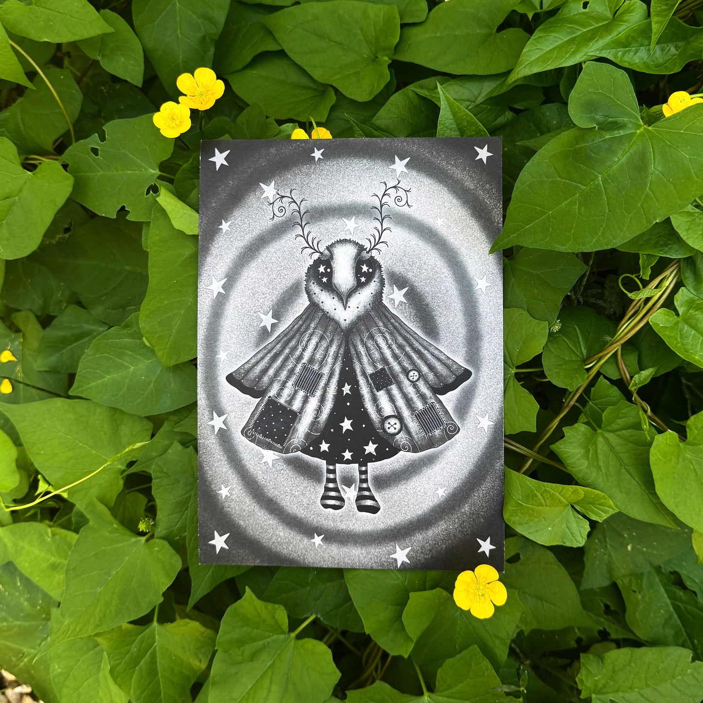 Moth Girl Print