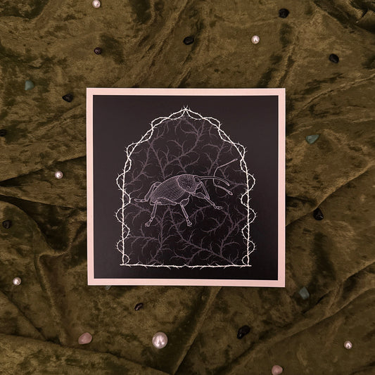 Whimsical Weevil Print